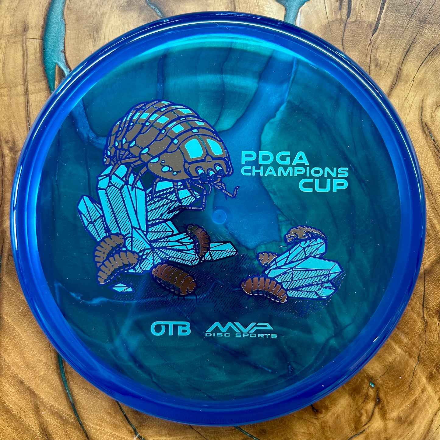 Disc Golf Disc