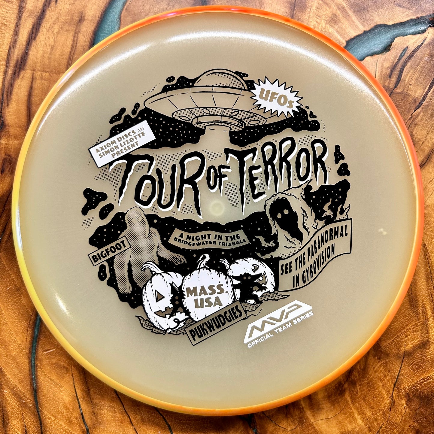 Disc Golf Disc