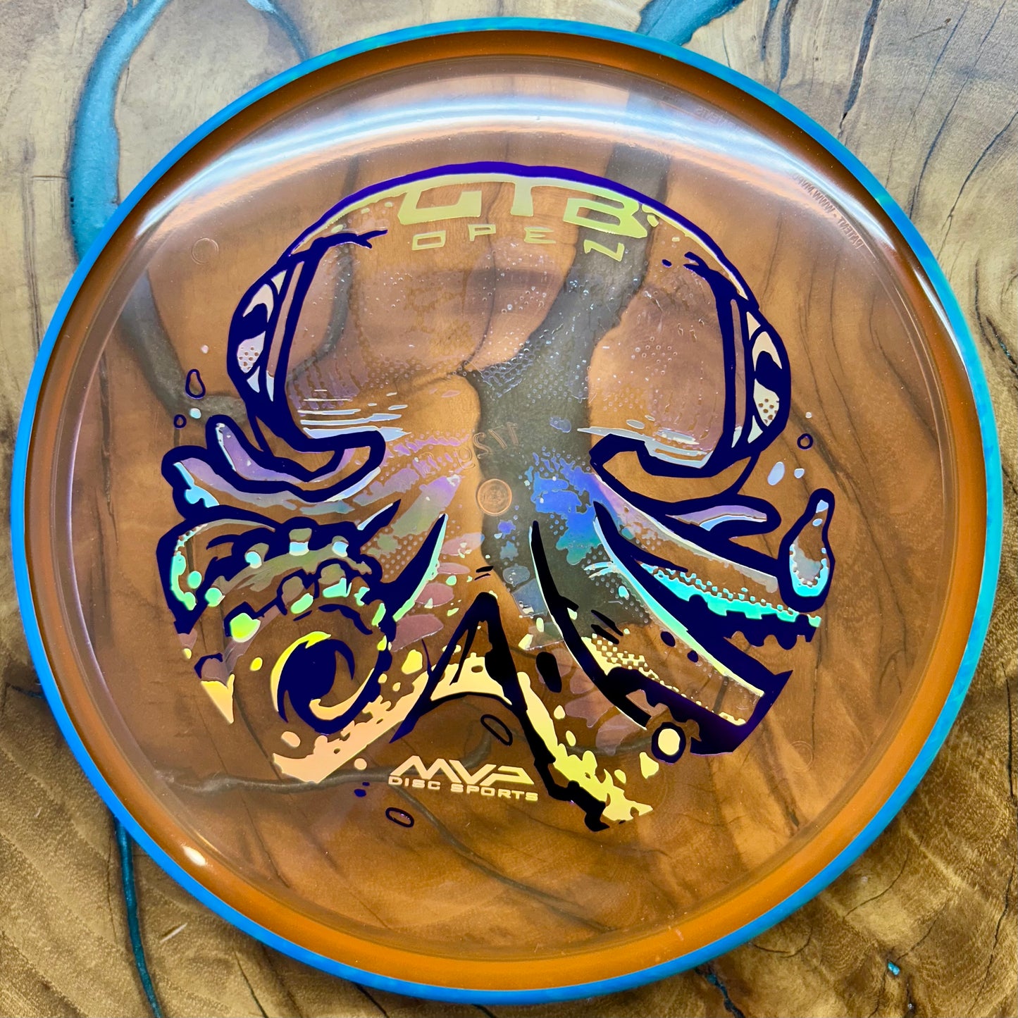 Disc Golf Disc