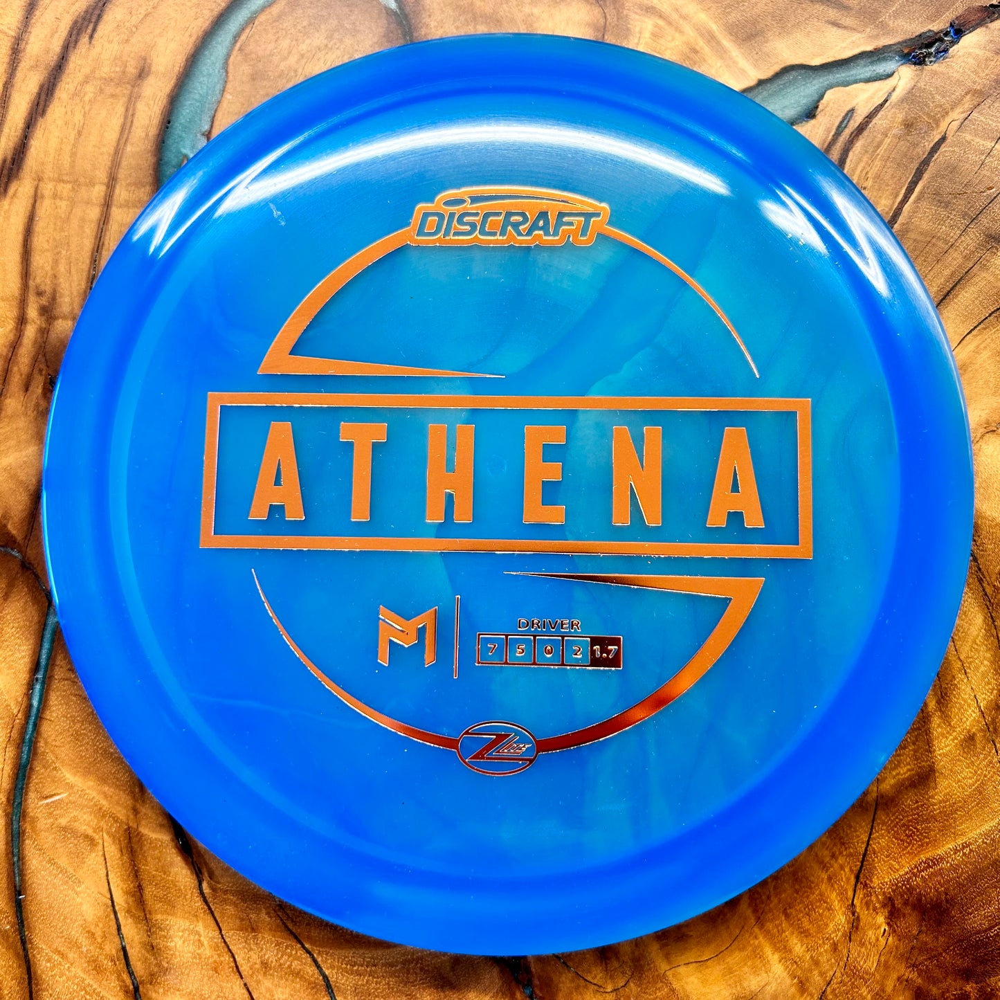 Disc Golf Disc