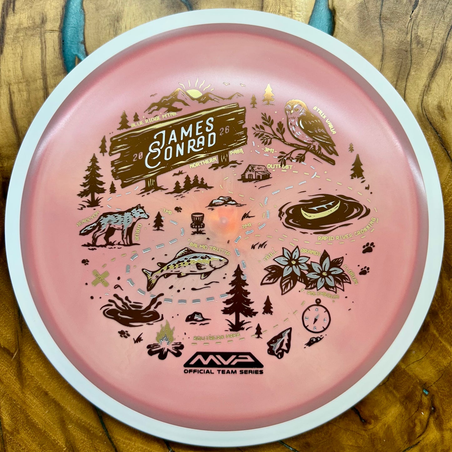 Disc Golf Disc