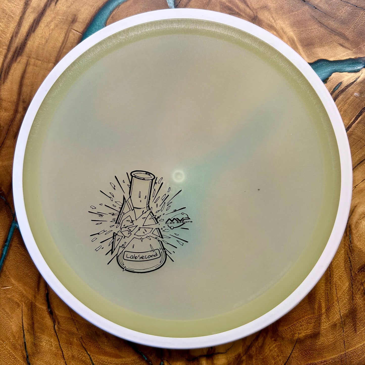 Disc Golf Disc