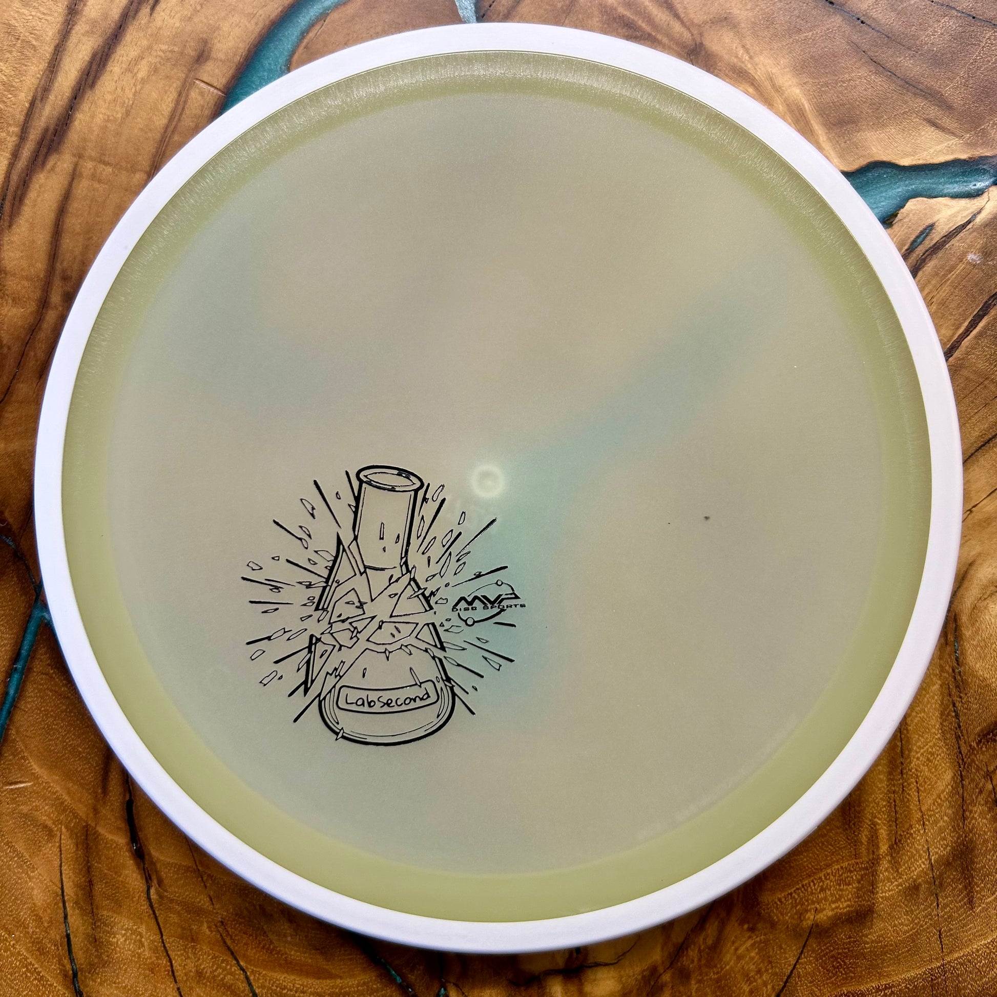 Disc Golf Disc