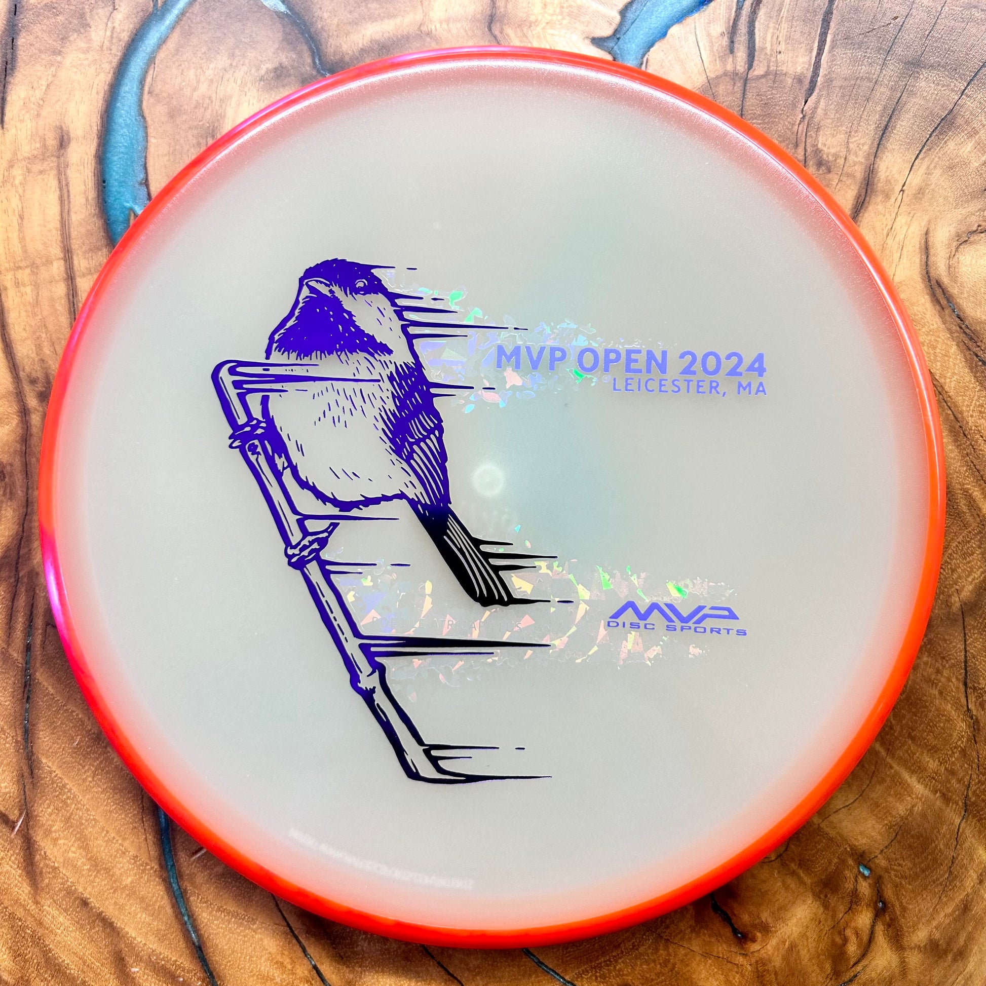 Disc Golf Disc