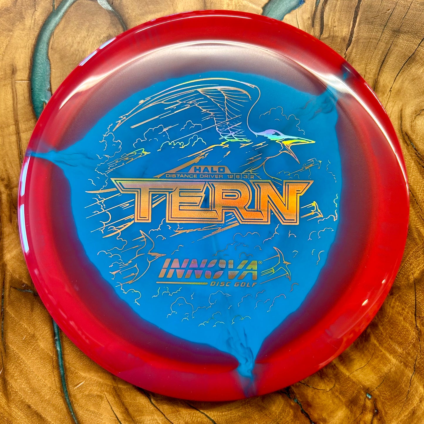Innova Halo Star Tern