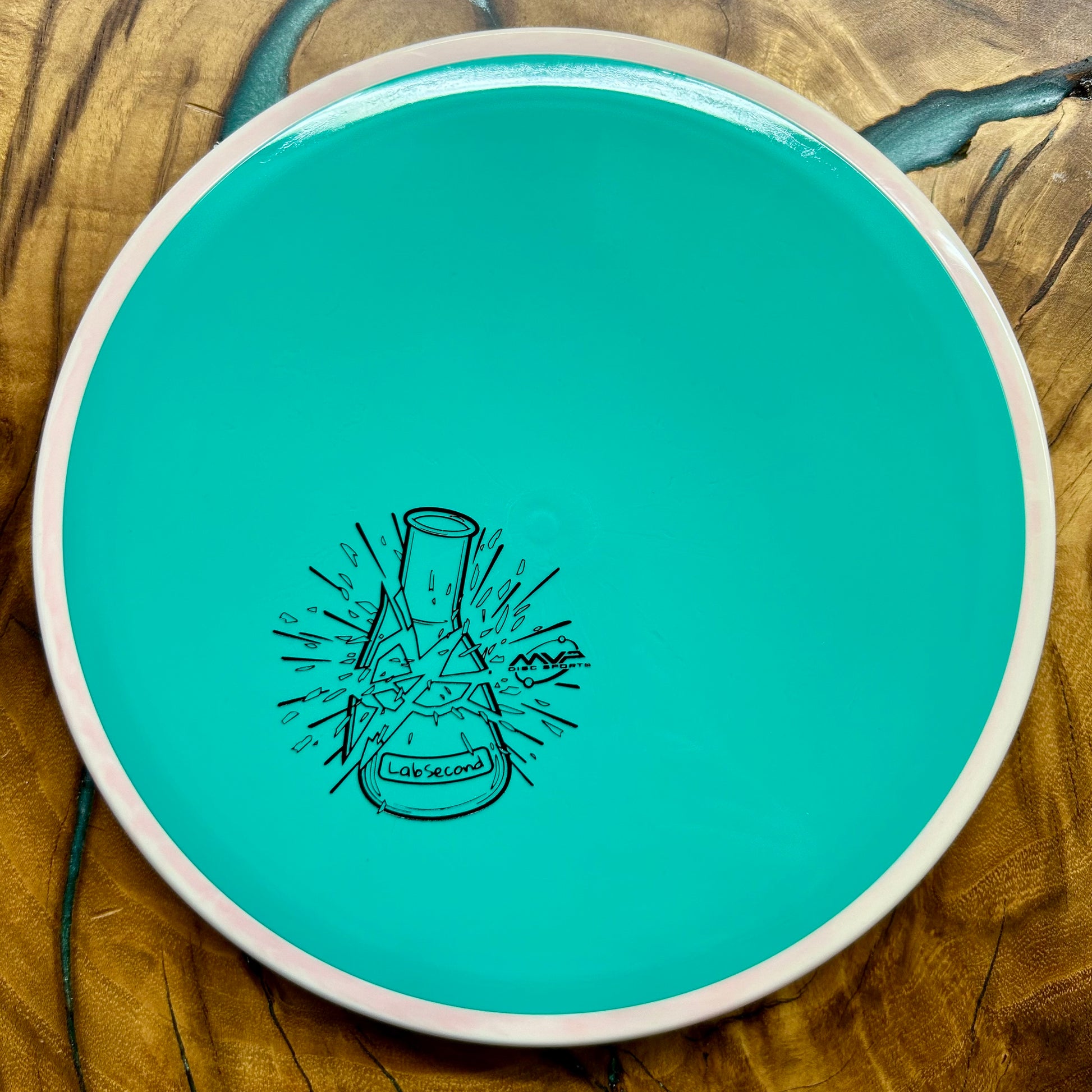 Disc Golf Disc