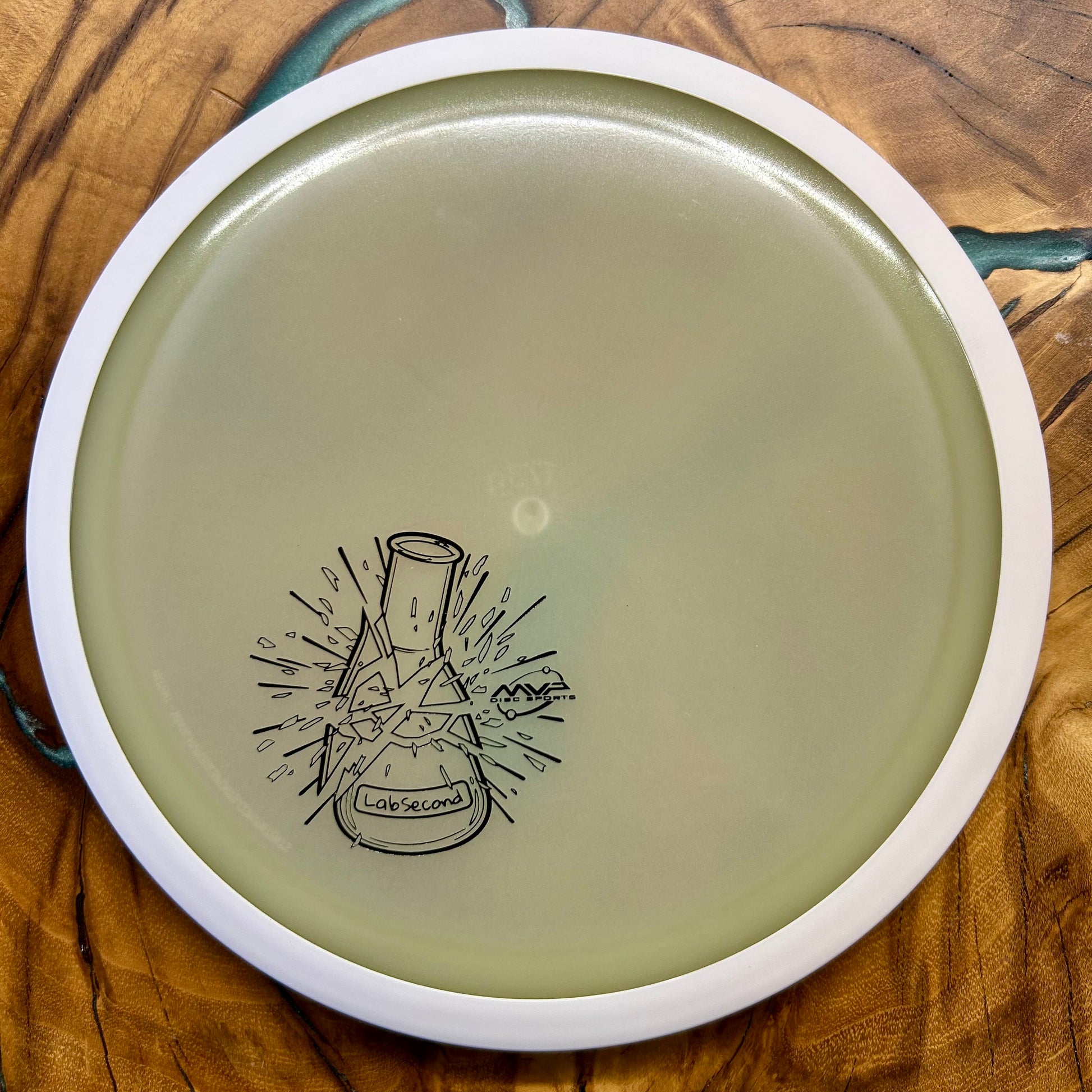 Disc Golf Disc