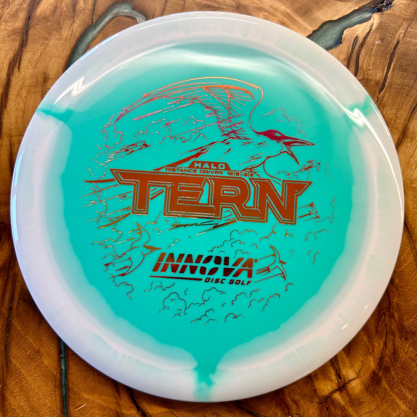 Innova Halo Star Tern