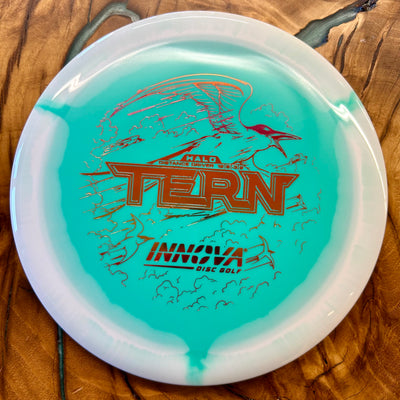 Innova Halo Star Tern
