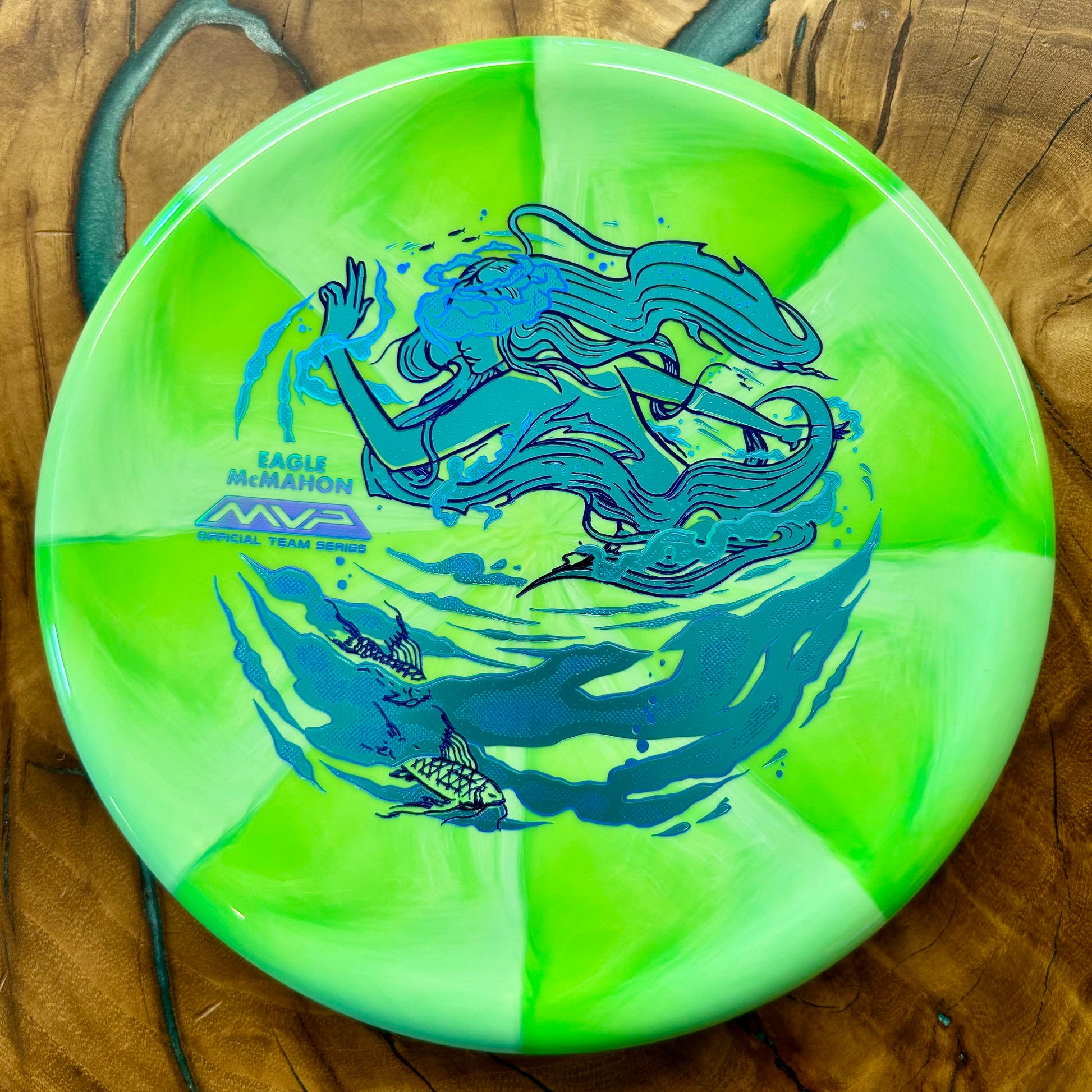 Disc Golf Disc