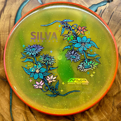 Disc Golf Disc